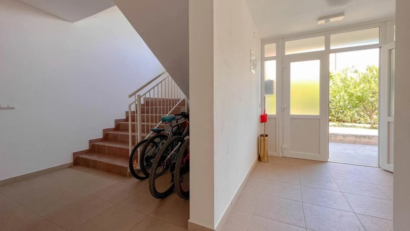 Sonia 1 Apartment Novigrad