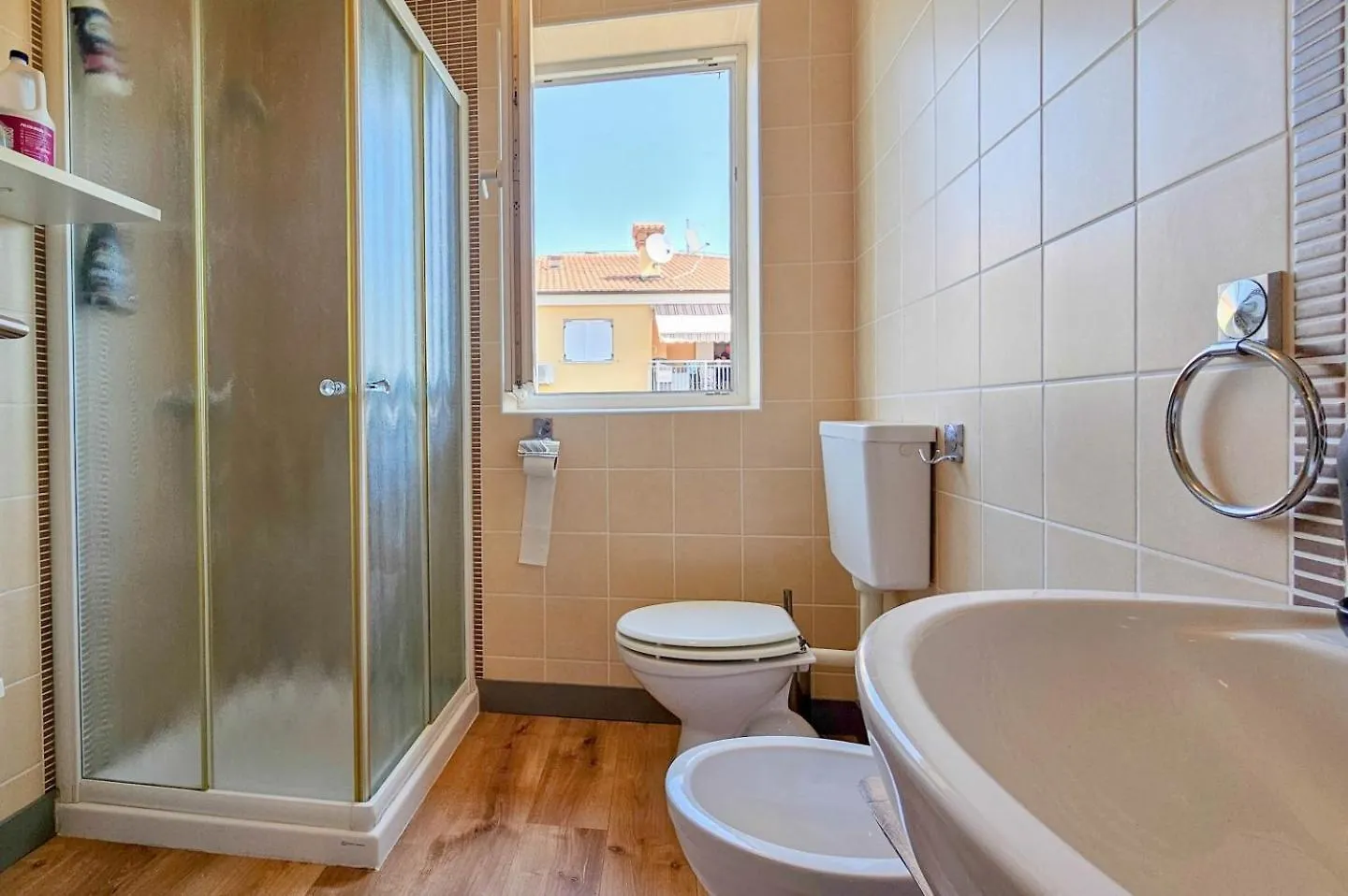 Sonia 1 Apartment Novigrad