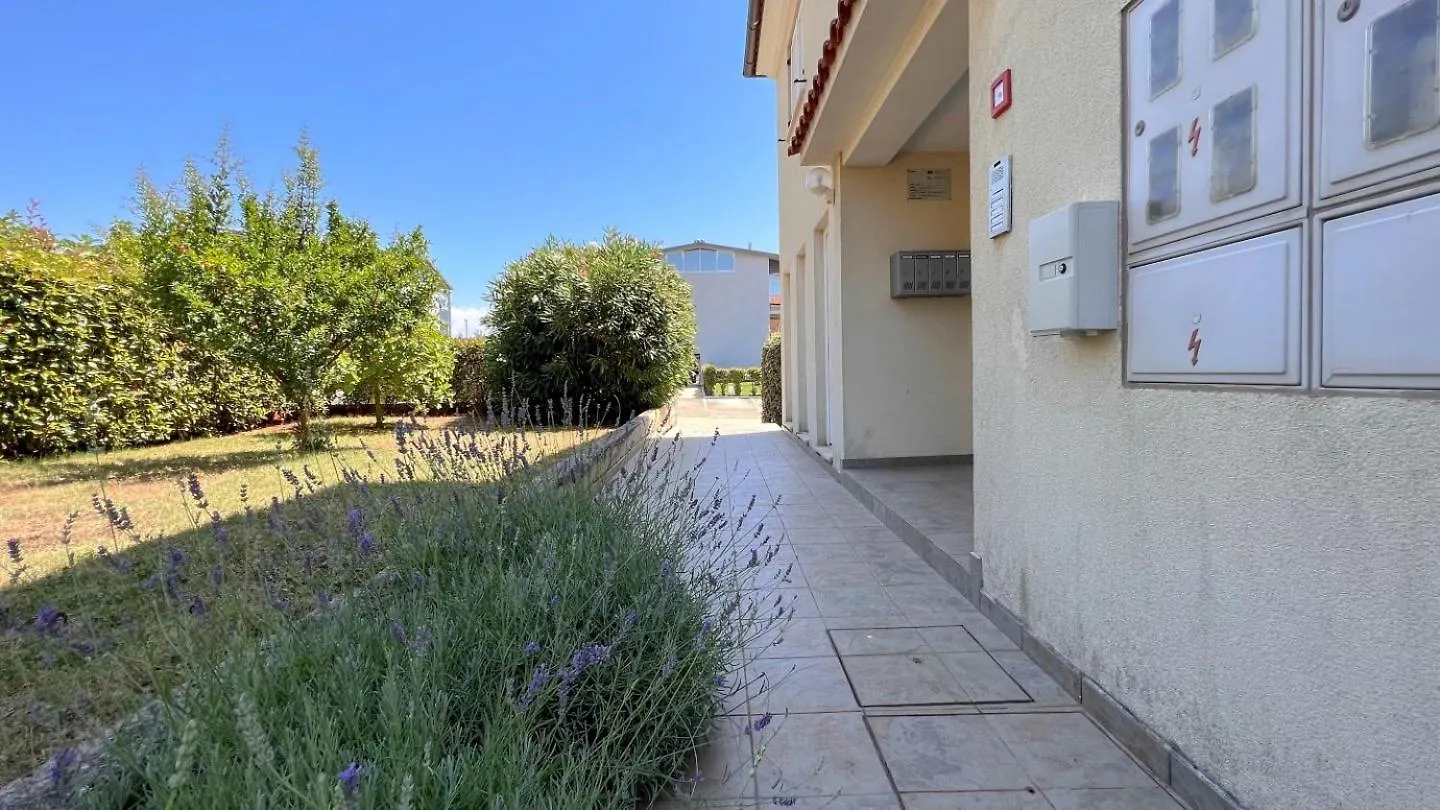 Sonia 1 Apartment Novigrad